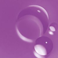 #12薰衣草紫