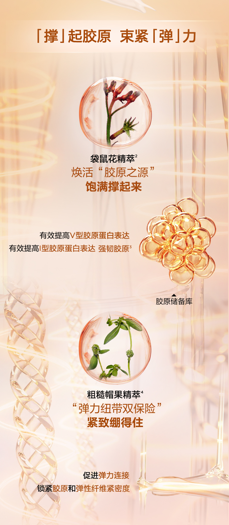 娇韵诗焕颜紧致弹力乳液75ml_Clarins