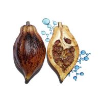 娇韵诗沁润奇肌保湿滋润护唇膏