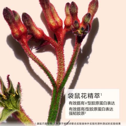 废弃——「弹簧霜」焕颜弹力日/晚霜