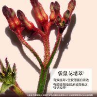 廢棄——「彈簧霜」煥顏彈力日/晚霜
