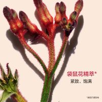 多維緊致平滑眼霜