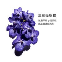 蘭花/蓮花/三檀舒顏?zhàn)o(hù)理油