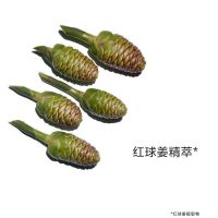 立体塑颜精华露