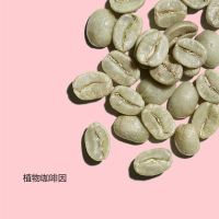 娇韵诗多重轻盈身体霜200ml