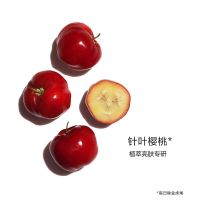娇韵诗淡斑柔肤水乳液两件套-酷洛米限定