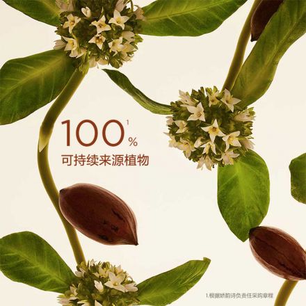 「弹簧霜」娇韵诗焕颜弹力紧塑面霜/晚霜50ml