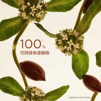「弹簧霜」娇韵诗焕颜弹力紧塑面霜/晚霜50ml
