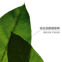 「超速眼霜」娇韵诗密集多维提拉眼霜