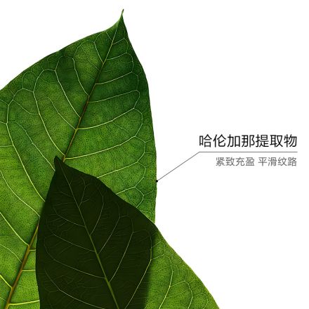 「超速眼霜」娇韵诗密集多维提拉眼霜
