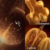 【重磅新品】双萃精华粉底液