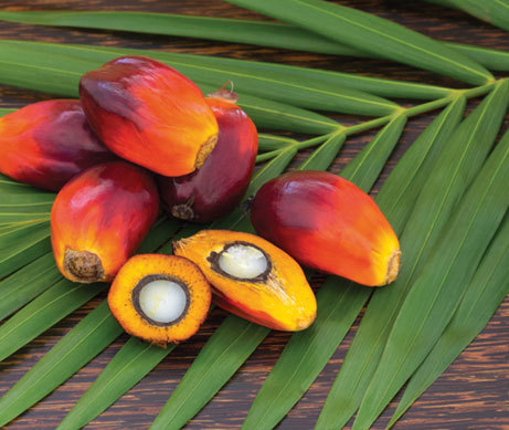 99% huile de palme certifiée RSPO